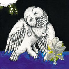 Songs: Ohia MECo.