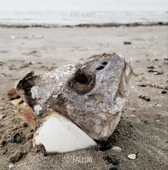 The Gary : "Fallow" Ep